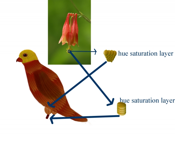 Creation of birds in love...: Step 6